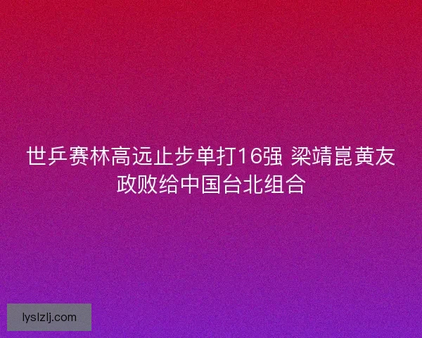 世乒赛林高远止步单打16强 梁靖崑黄友政败给中国台北组合